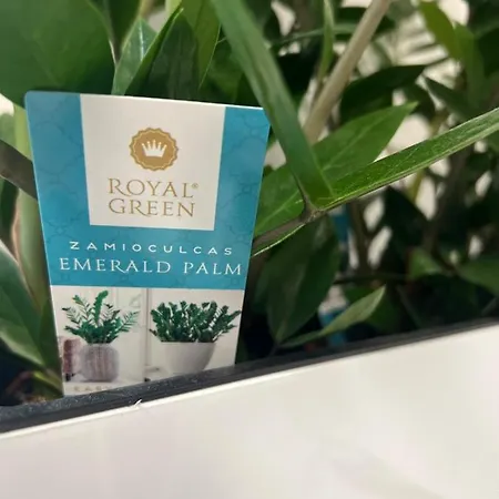 Apartman Uroczy 2 Osobne Marina Royal Palace