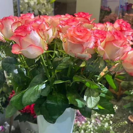 Uroczy 2 Osobne Marina Royal Palace Warschau